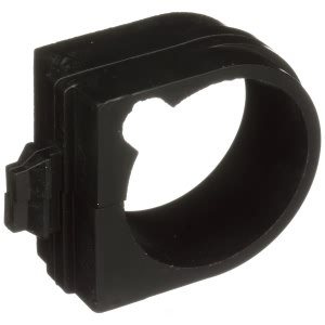 Delphi Rack and Pinion Mount Bushing for Chrysler - TD4891W