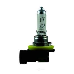 Hella H11P50 Performance Series Halogen Light Bulb for 2014 Lincoln MKT - H11P50