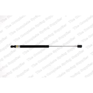 lesjofors Liftgate Lift Support for 2010 Volkswagen Passat - 8195056