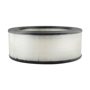 Hastings Air Filter for Ford E-350 Econoline Club Wagon - AF162