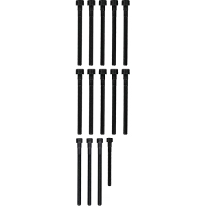 Victor Reinz Cylinder Head Bolt Set for 2008 BMW 128i - 14-32315-01