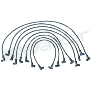 Walker Products Spark Plug Wire Set for Chevrolet K10 - 924-1394