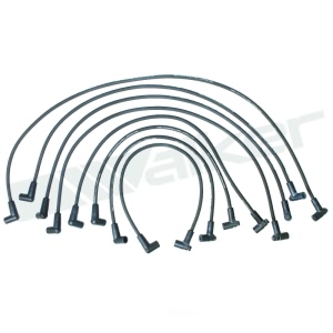 Walker Products Spark Plug Wire Set for Chevrolet G10 - 924-1394