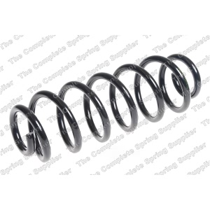 lesjofors Rear Coil Springs for 2006 Volkswagen Passat - 4295107