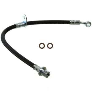 Wagner Brake Hydraulic Hose for 2008 Honda Odyssey - BH142816