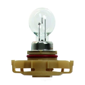 Hella Standard Series Halogen Miniature Light Bulb for 2011 Dodge Challenger - PSX24W