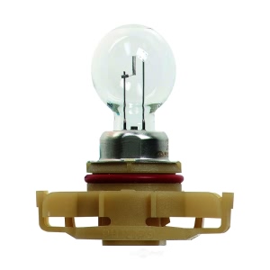 Hella Standard Series Halogen Miniature Light Bulb for 2017 Mini Cooper Clubman - PSX24W
