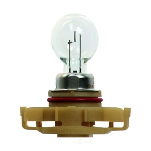 Hella Standard Series Halogen Miniature Light Bulb for 2013 Dodge Grand Caravan - PSX24W