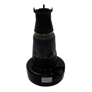 Westar Air Suspension Spring - AS-7003R