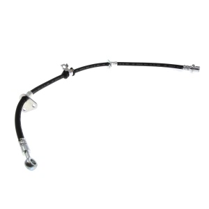 Centric Brake Hose for 1998 Acura TL - 150.40047