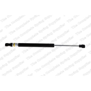 lesjofors Trunk Lid Lift Support for BMW 135i - 8108422