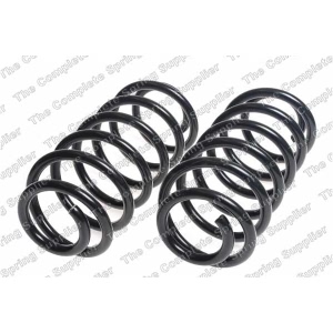 lesjofors Rear Coil Springs for 1999 Jeep Grand Cherokee - 4442102