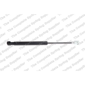 lesjofors Back Glass Lift Support for 2007 Jaguar X-Type - 8141406