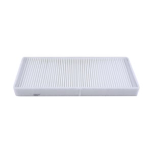 Hastings Cabin Air Filter for 2004 Mercury Monterey - AFC1067