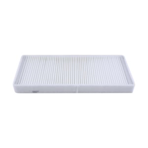 Hastings Cabin Air Filter for 2004 Ford Freestar - AFC1067