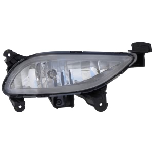 Dorman Fog Lamp Assembly - 923-820