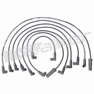 Walker Products Spark Plug Wire Set for Chevrolet S10 Blazer - 924-1330
