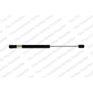 lesjofors Hood Lift Support for Audi A8 Quattro - 8004221