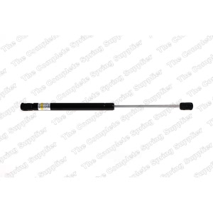 lesjofors Hood Lift Support for Audi S8 - 8004221