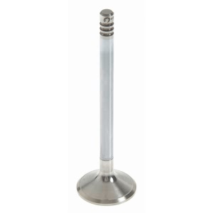 Sealed Power Engine Intake Valve for 2003 Volvo S80 - V-4633