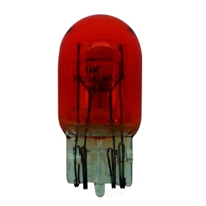 Hella Standard Series Incandescent Miniature Light Bulb for 2017 Lincoln MKX - 7443A