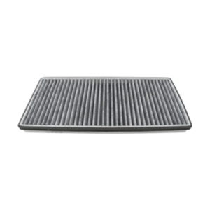 Hastings Cabin Air Filter for Dodge Sprinter 2500 - AFC1372