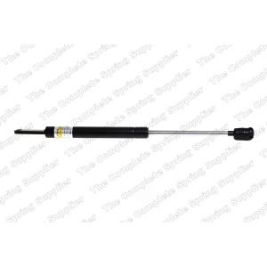 lesjofors Hood Lift Support for BMW - 8008411