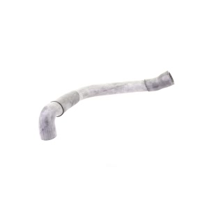 VAICO Engine Coolant Radiator Hose for 1999 Mercedes-Benz CL600 - V30-1621