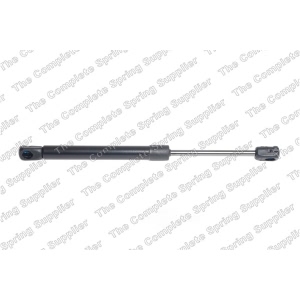 lesjofors Hood Lift Support for 2017 BMW X4 - 8008425