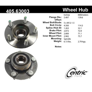 Centric C-Tek™ Rear Driver Side Standard Non-Driven Wheel Bearing and Hub Assembly for Dodge Intrepid - 405.63003E