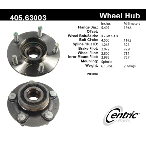 Centric C-Tek™ Rear Driver Side Standard Non-Driven Wheel Bearing and Hub Assembly for Chrysler Intrepid - 405.63003E