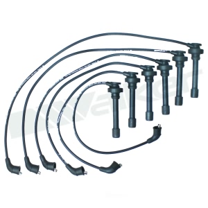 Walker Products Spark Plug Wire Set for 2004 Mitsubishi Diamante - 924-2066