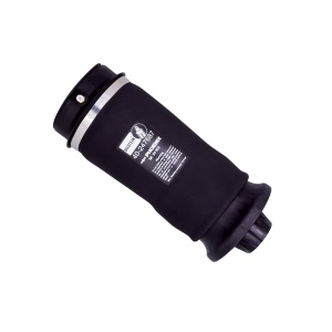 Bilstein B3 Series OE Replacement Air Spring for 2008 Mercedes-Benz ML320 - 40-247687