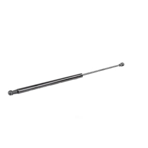 VAICO Liftgate Lift Support for Audi - V10-2072