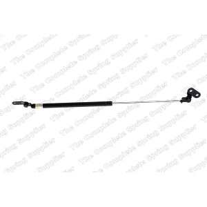 lesjofors Driver Side Liftgate Lift Support for Nissan - 8162002
