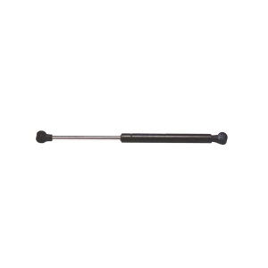 StrongArm Trunk Lid Lift Support for 2001 Chrysler LHS - 4956