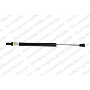 lesjofors Trunk Lid Lift Support for 2010 BMW M3 - 8108423