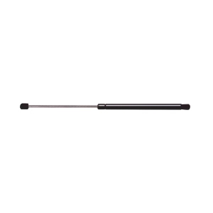 StrongArm Hood Lift Support for 2006 Volkswagen Beetle - 4328