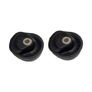 Delphi Rear Lower Subframe Bushing - TD485W