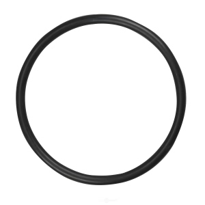 Spectra Premium Fuel Tank Lock Ring for 2005 Suzuki Aerio - LO119