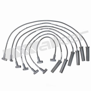 Walker Products Spark Plug Wire Set for 1984 GMC S15 Jimmy - 924-1335