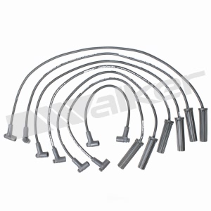 Walker Products Spark Plug Wire Set for 1984 GMC S15 - 924-1335