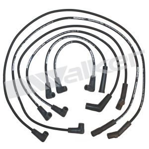 Walker Products Spark Plug Wire Set for 1989 Chevrolet Celebrity - 924-1229