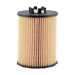 Hastings Engine Oil Filter Element for BMW 760i - LF646