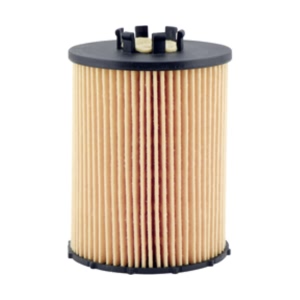 Hastings Engine Oil Filter Element for 2005 BMW 760Li - LF646