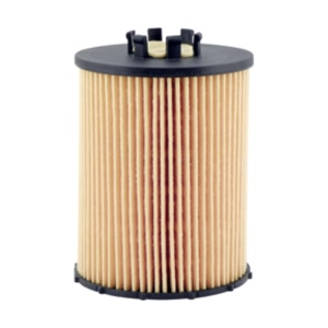 Hastings Engine Oil Filter Element for 2007 BMW 650i - LF646