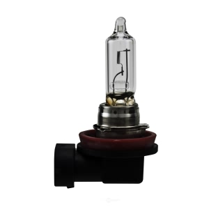 Hella H9Tb Standard Series Halogen Light Bulb for 2009 Pontiac G6 - H9TB