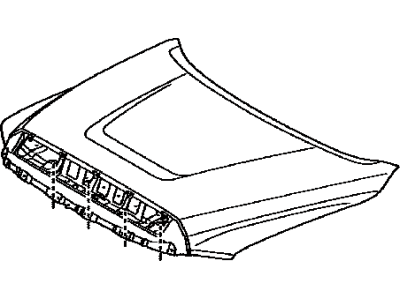 Toyota 53301-0C040 Hood Sub-Assembly