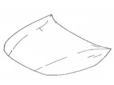 Toyota 53301-12B50 Hood