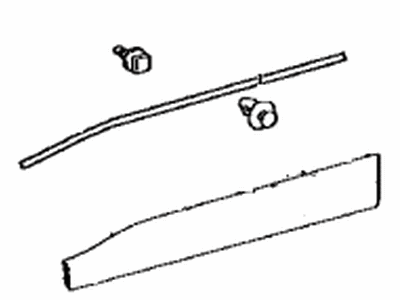 Toyota 75073-42050-C0 Lower Molding